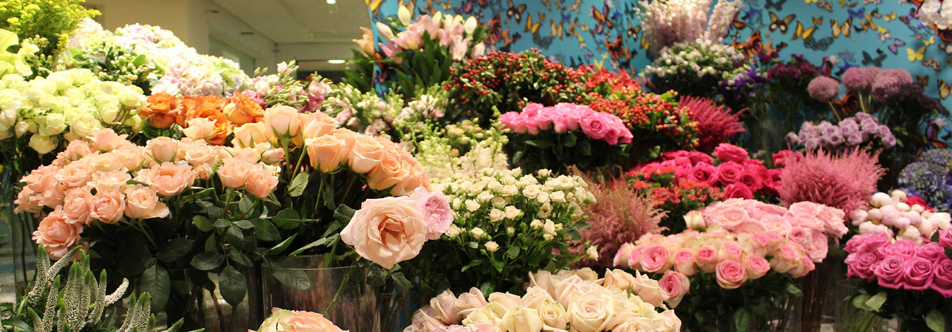 Bliss-Flower-Boutique-franchise-2