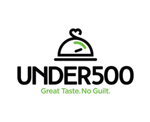 under-500-franchise