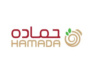 hamada-franchise